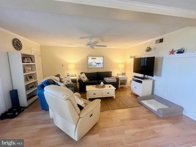 119 Old Landing Rd, Ocean City, MD 21842 - photo 5