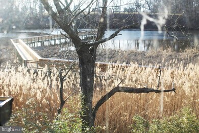 115 Corsica St, Centreville, MD 21617 - photo 6