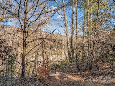 167 Firefly Point, Lake Lure, NC 28746 - photo 2