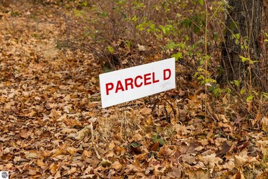 Lot D Retreats Way, Rapid City, MI 49676 - photo 2