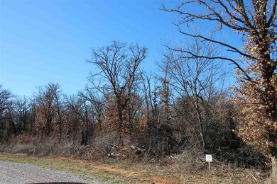 1061 Woodland Dr, Cache, OK 73527 - photo 5