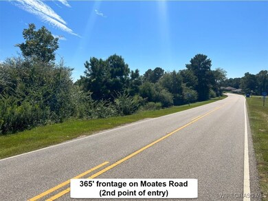 72.75 ac. Boll Weevil Cir, Enterprise, AL 36330 - photo 7