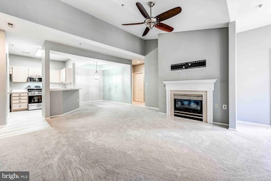 8931 Groffs Mill Dr unit 8931, Owings Mills, MD 21117 - photo 3