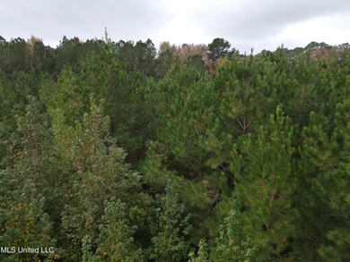 2077 County Line Rd W, Summit, MS 39666 - photo 5