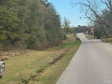 Lot 1 Freemanville Dr, Atmore, AL 36502 - photo 6