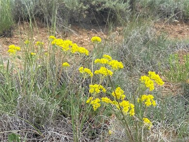 0 Decagon Loop Parcel 12 unit REC7569973, Twin Lakes, CO 81251 - photo 6