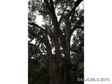 LARGE OAK IN FRONT YARD