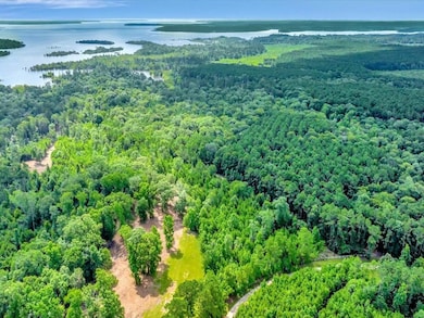 0 Moore Farm unit 24279649, Huntington, TX 75949 - photo 6