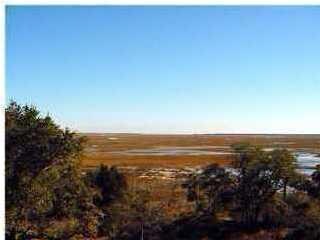 longmarsh6