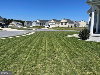 11 Lois Ct, Felton, DE 19943 - photo 5