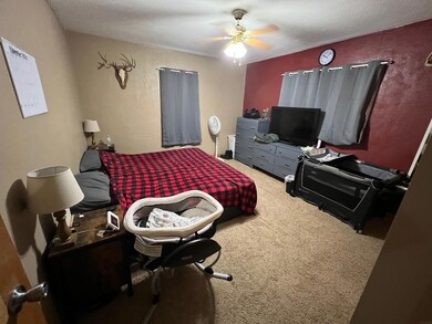 333 Pearl St, Hawkeye, IA 52147 - photo 5