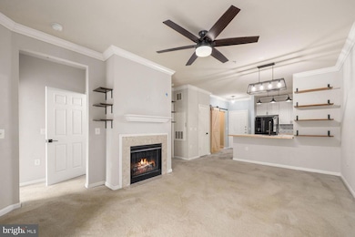 Marquis At Vienna Station unit 329, Vienna, VA 22181 - photo 5