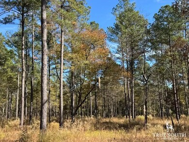 Rd, Luray, SC 29932 - photo 6