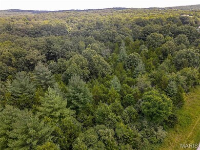 1811 Hendricks Rd, Robertsville, MO 63072 - photo 5