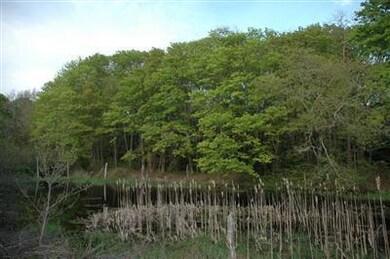 0 Brick Kiln Rd, Falmouth, MA 02540 - photo 2