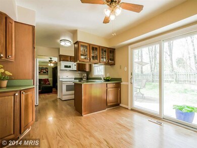13159 Madonna Ln, Fairfax, VA 22033 - photo 6