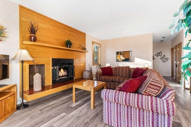 Beautiful gas fireplace.