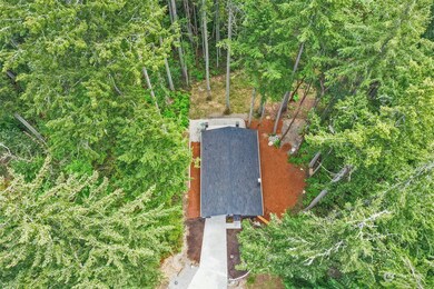 10111 109th Ave, Anderson Island, WA 98303 - photo 7