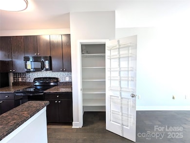 841 Seigle Point Dr unit 2, Charlotte, NC 28204 - photo 5