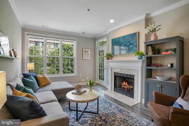 2330 14th St N unit 301, Arlington, VA 22201 - photo 4