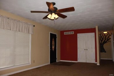 3 Mileva Ct, Farmington, MO 63640 - photo 5