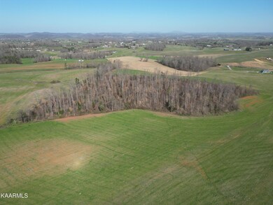 DJI_0530