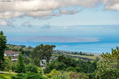 17100 Haleakala Hwy, Kula, HI 96790 - photo 5