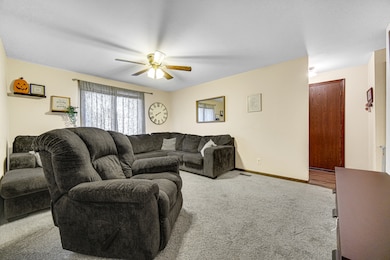 1069 Flamingo Ln, Bradley, IL 60915 - photo 5