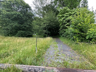 28226 Hillman Hwy, Meadowview, VA 24361 - photo 6