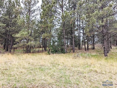 TBD Lot 5 Argyle Rd, Hot Springs, SD 57747 - photo 4