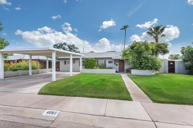 Large Corner Lot