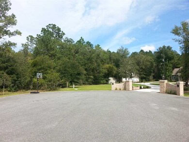 Lot 5 Decey Wallace Ln, Crawfordville, FL 32327 - photo 3