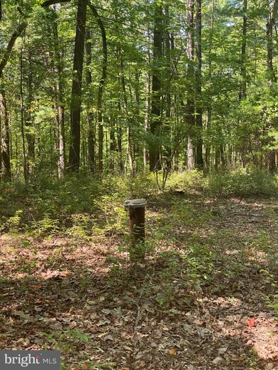 Lots 67 & 68 Tall Tree Dr, Levels, WV 25431 - photo 3