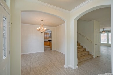 24002 Buckthorn Pass, San Antonio, TX 78261 - photo 6