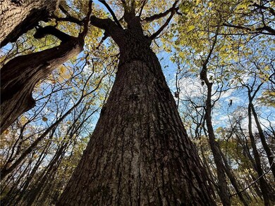 0 E 100th St unit HMS2588630, Blythedale, MO 64426 - photo 4
