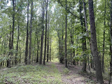 View of nature
