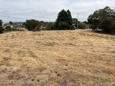 3230 Hillman Ln, Royal Oaks, CA 95076 - photo 3