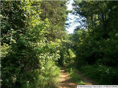 unlisted-address, Hernando, MS 38632 - photo 4