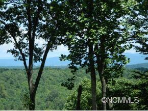 Beautiful trees on property