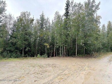 L12 B2 Obsidian Ct, Goldstream, AK 99709 - photo 7