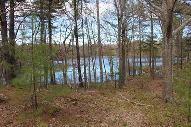 Lake view