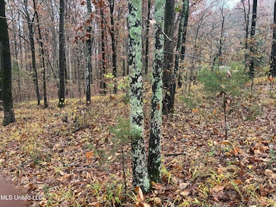 0 Alexander Dr, Olive Branch, MS 38654 - photo 4