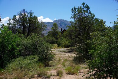 Granite Mountain view Lot 56