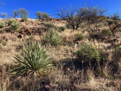 61 Salida Springs Way (25)