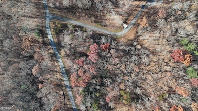LOT 196 Springwinds Dr, Cleveland, GA 30528 - photo 5