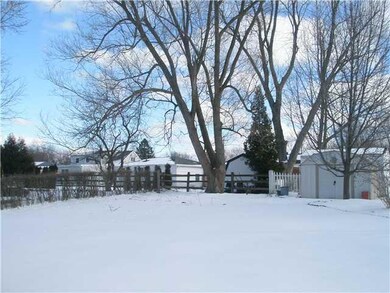 Yard/Garden