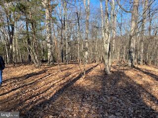 0 Christian Church Rd unit WVHS2000982, High View, WV 26808 - photo 5