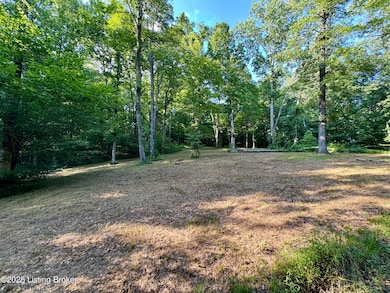 1193 Patriots Landing Ln, Falls of Rough, KY 40119 - photo 3