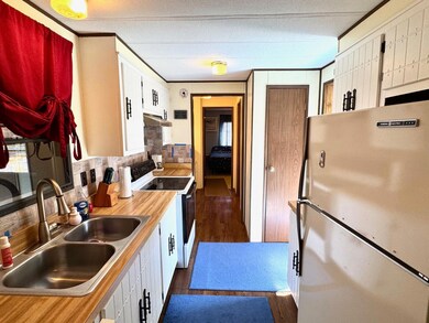 2769 County State Aid Highway 32 unit Lot 178, Baudette, MN 56623 - photo 5