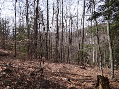 0 South Rd, Woodstock, VT 05071 - photo 4